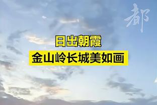 本赛季技犯排名：东契奇15个再犯将被禁赛 狄龙&特雷-杨紧随其后